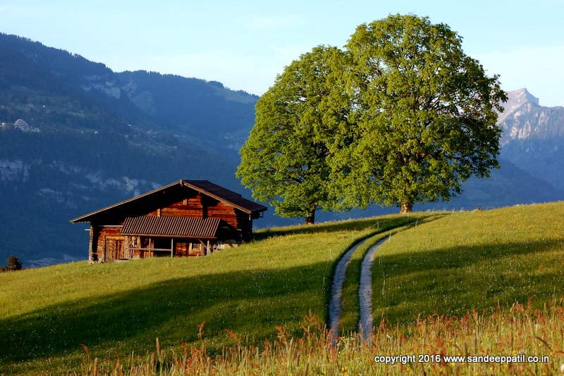 Swiss_01