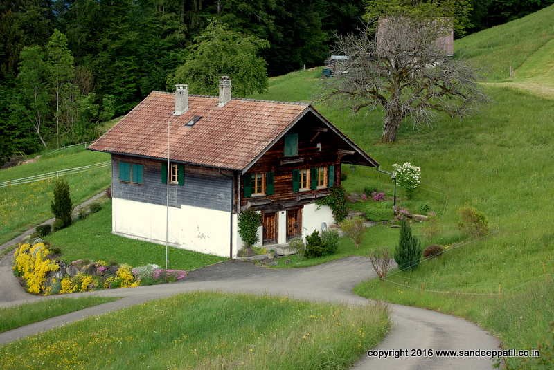 Swiss_12