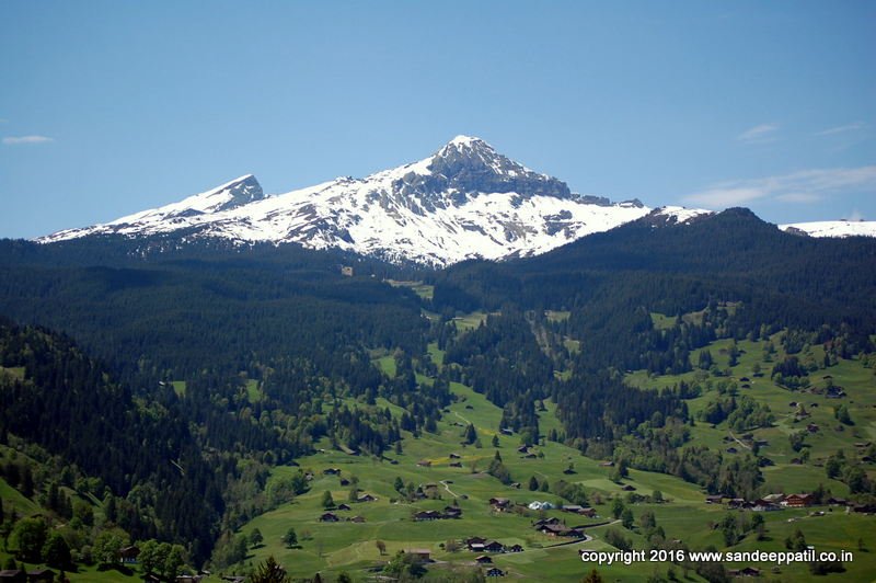 Swiss_13