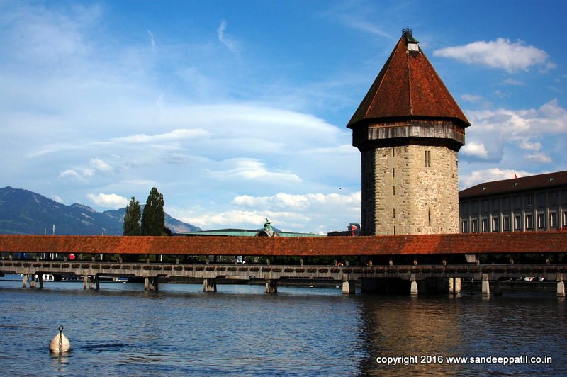 Swiss_15