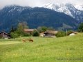 Swiss_18